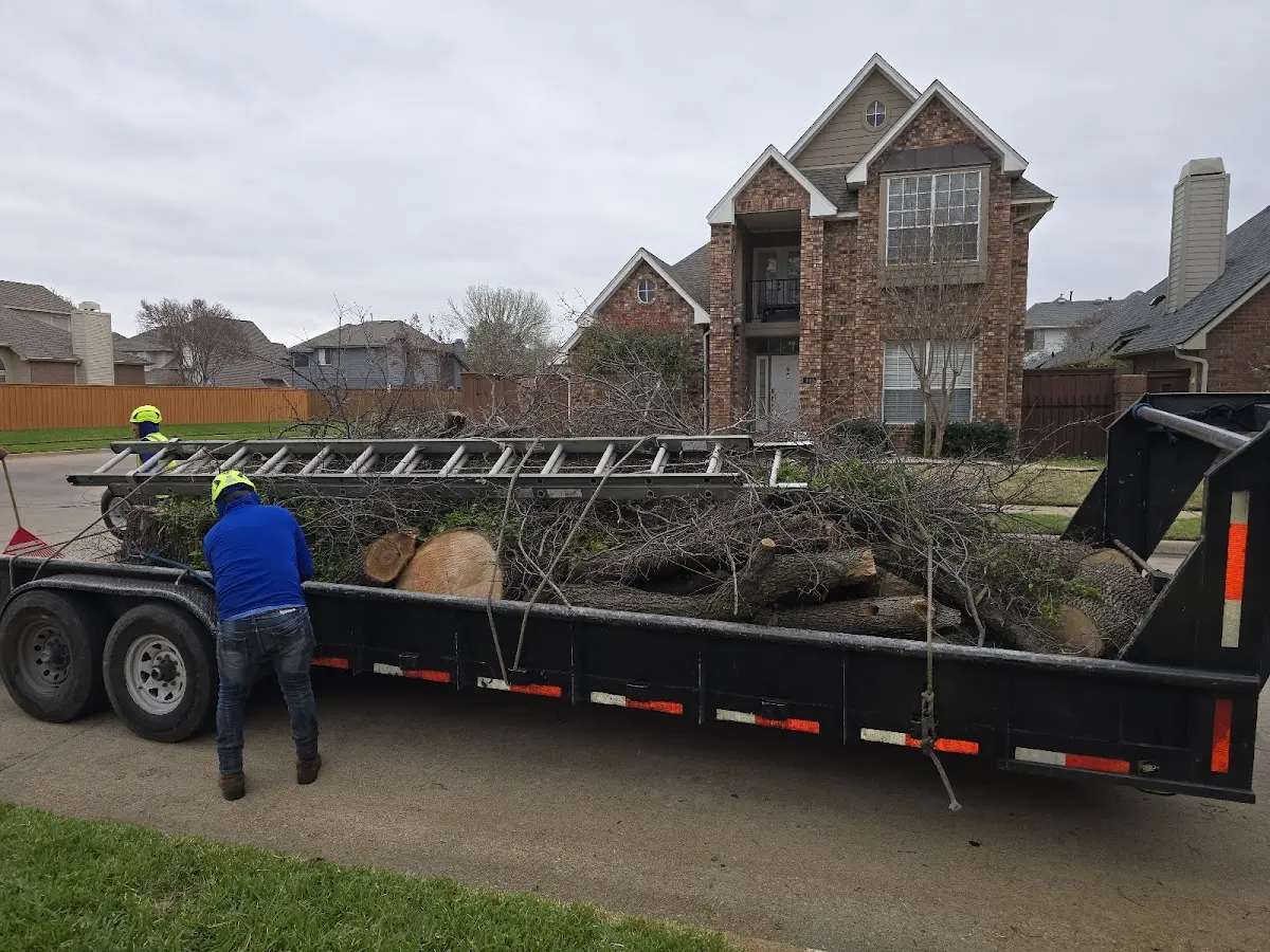 Expert Tree Pest Control with proper safety equipment in Beaufort